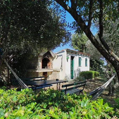 Tatil Evi House Mela *