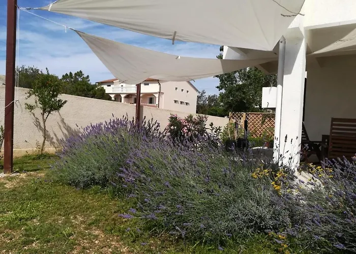 House Mela * Влашичи