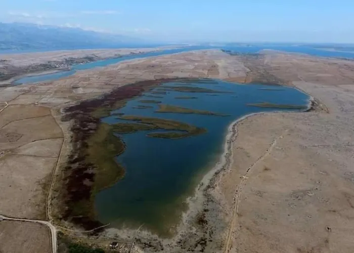 House Mela Дом отдыха *