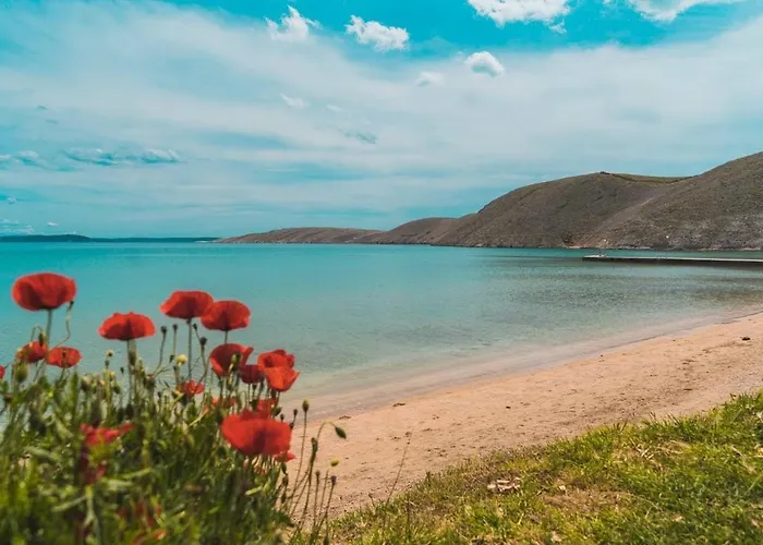 House Mela 펜션 Vlašići